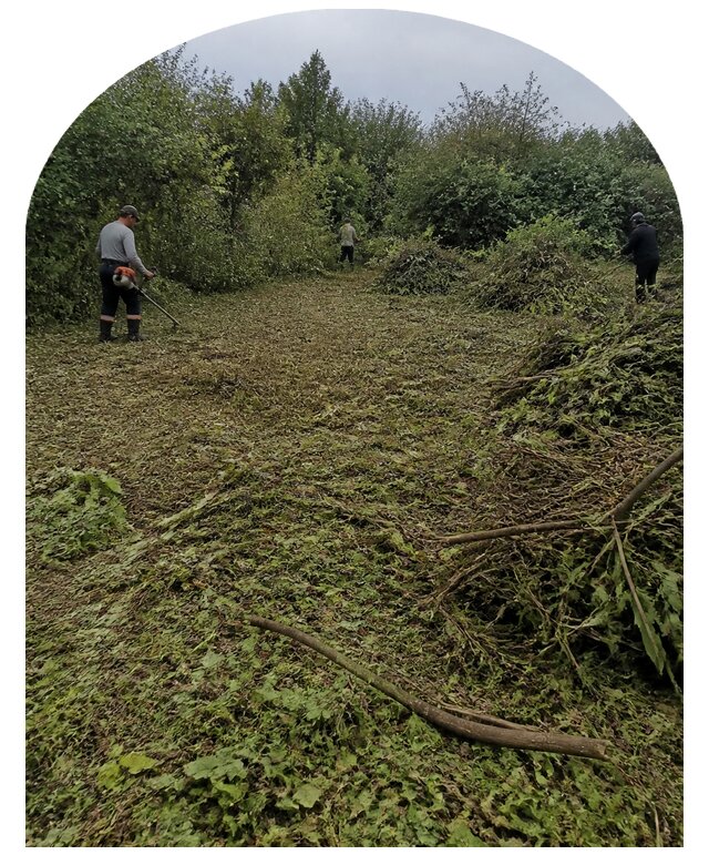 Расчистка заросшего участка в Благовещенске от 6602 р. | Метпроект-Бгн